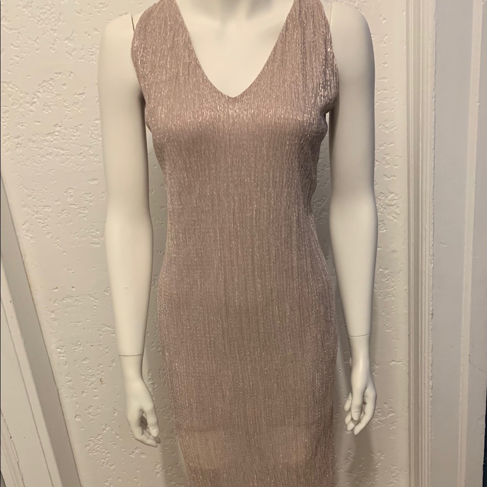 Express Sparkly Pleated Deep V-Neck Dress